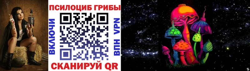 Псилоцибиновые грибы Cubensis Дно